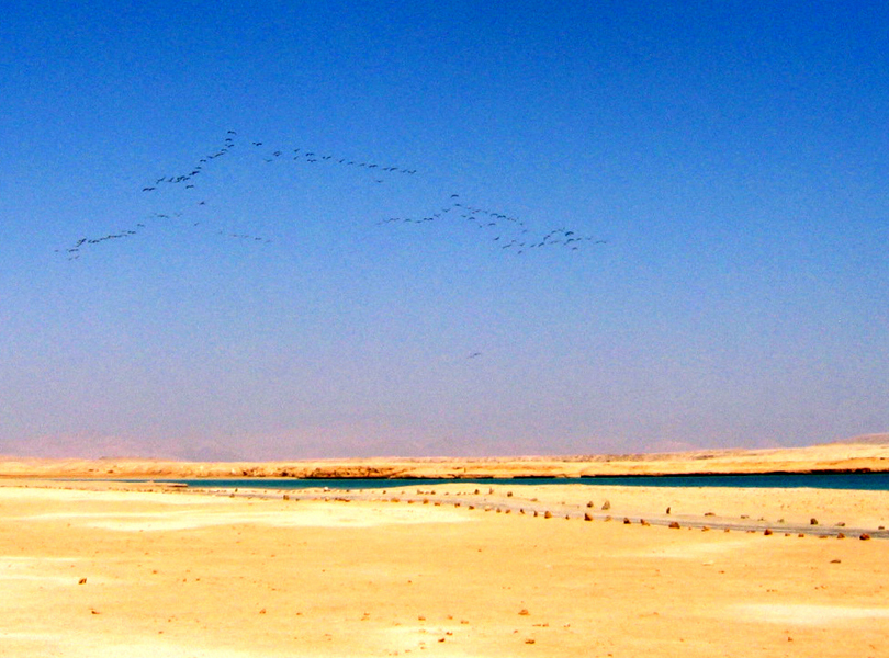 Aegypten-Ueber Wasser2004 (28)