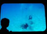 Aegypten-Ueberwasser-2011 (61)