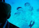 Aegypten-Ueberwasser-2011 (69)