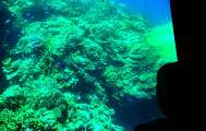 Aegypten-Ueberwasser-2011 (92)