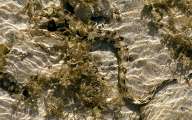 Aegypten-Ueberwasser-2013 (113)