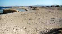 Aegypten-Ueberwasser-2013 (141)
