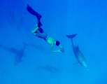 Aegypten-Ueberwasser-2013 (38)