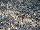 Aegypten-Ueberwasser-2013 (55)