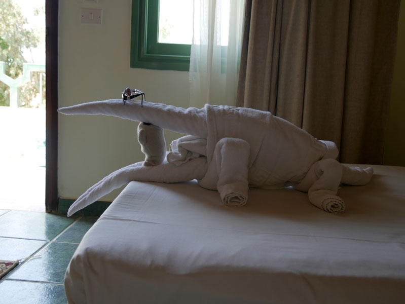 Aegypten-Ueberwasser-2016 (86)