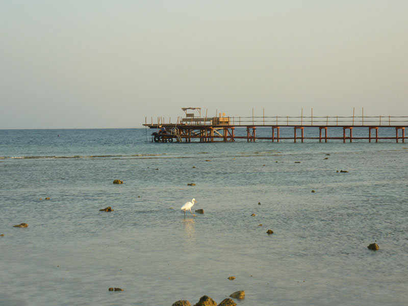 Aegypten-Ueberwasser-2016 (93)