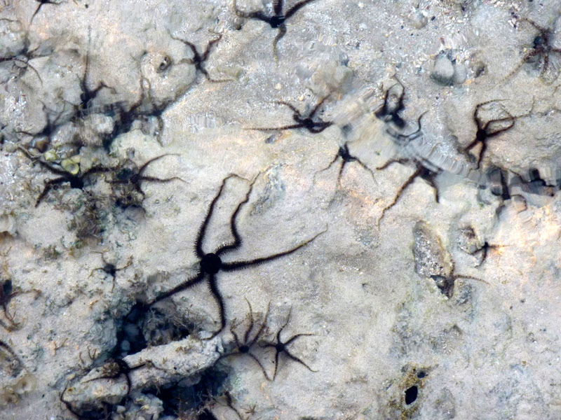 Aegypten-Ueberwasser-2016 (95)