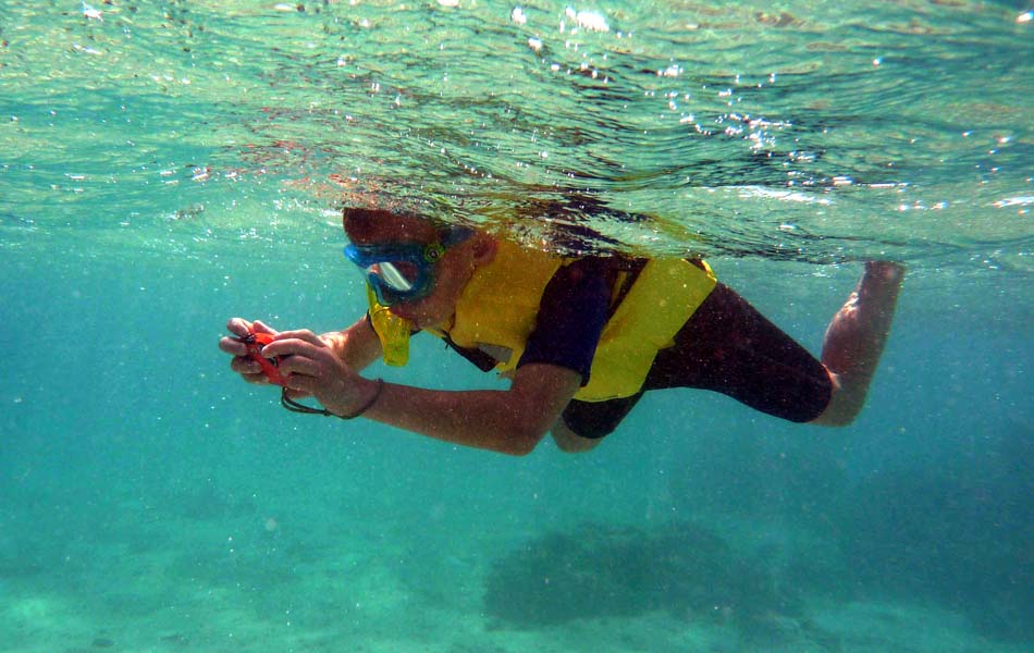 Aegypten-Unterwasser (297)