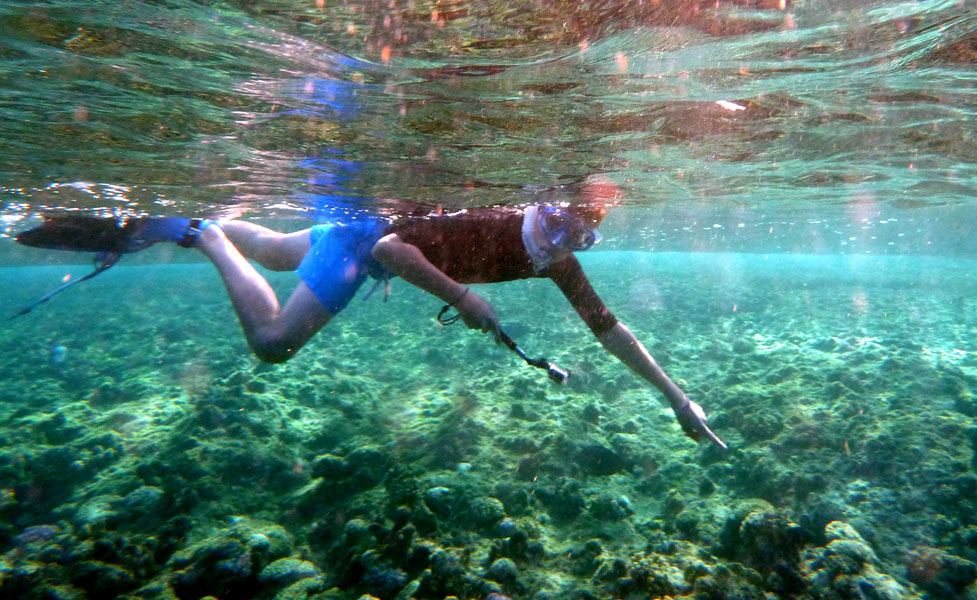 Aegypten-Unterwasser (311)