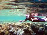 Aegypten-Unterwasser (104)