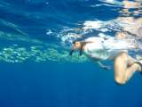 Aegypten-Unterwasser (113)