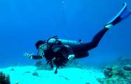 Aegypten-Unterwasser (283)