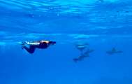 Aegypten-Unterwasser (292)