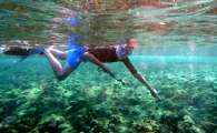 Aegypten-Unterwasser (311)