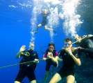Aegypten-Unterwasser (38)
