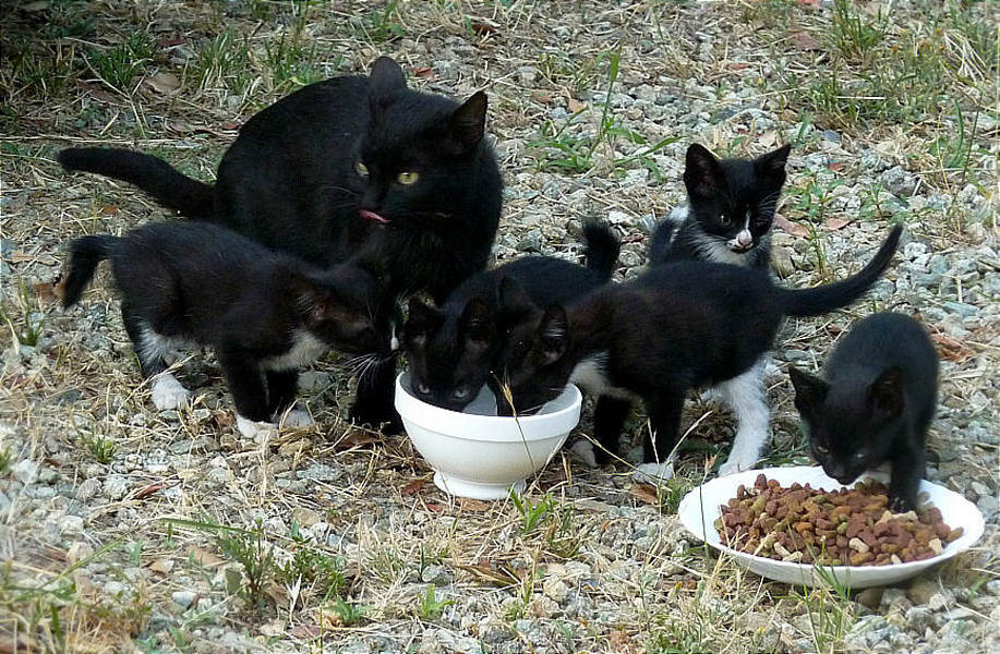 Korsika-Familie-2009 (94)