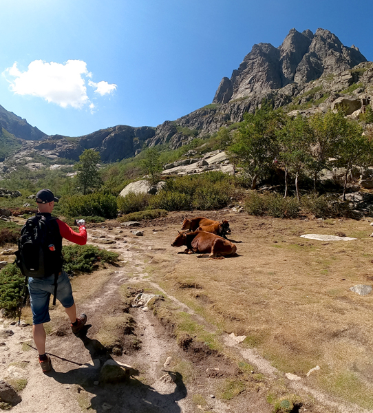 Korsika-Landschaft-gesamt (150)