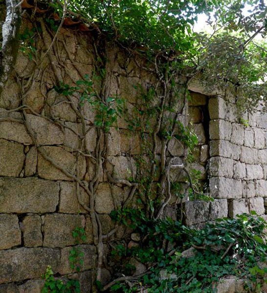 Korsika-Landschaft-gesamt (152)