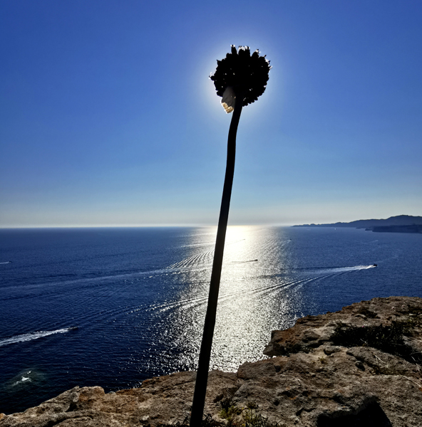 Korsika-Landschaft-gesamt (154)