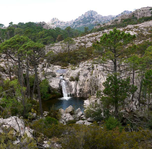 Korsika-Landschaft-gesamt (156)