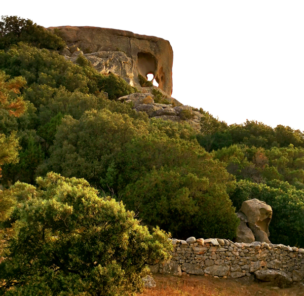 Korsika-Landschaft-gesamt (157)