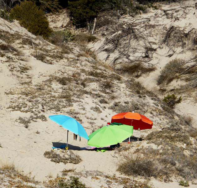 Korsika-Landschaft-gesamt (158)