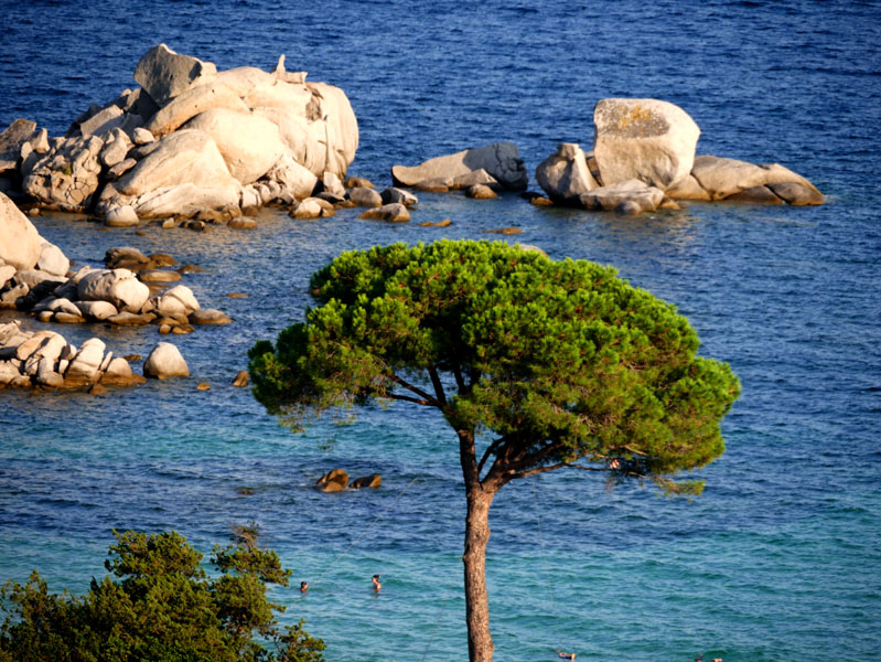 Korsika-Landschaft-gesamt (185)