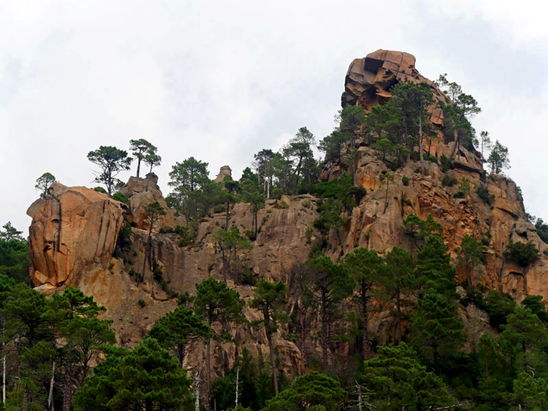 Korsika-Landschaft-gesamt (186)