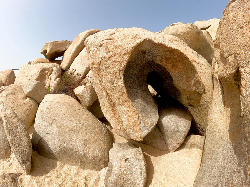 Korsika-Landschaft-gesamt (204)