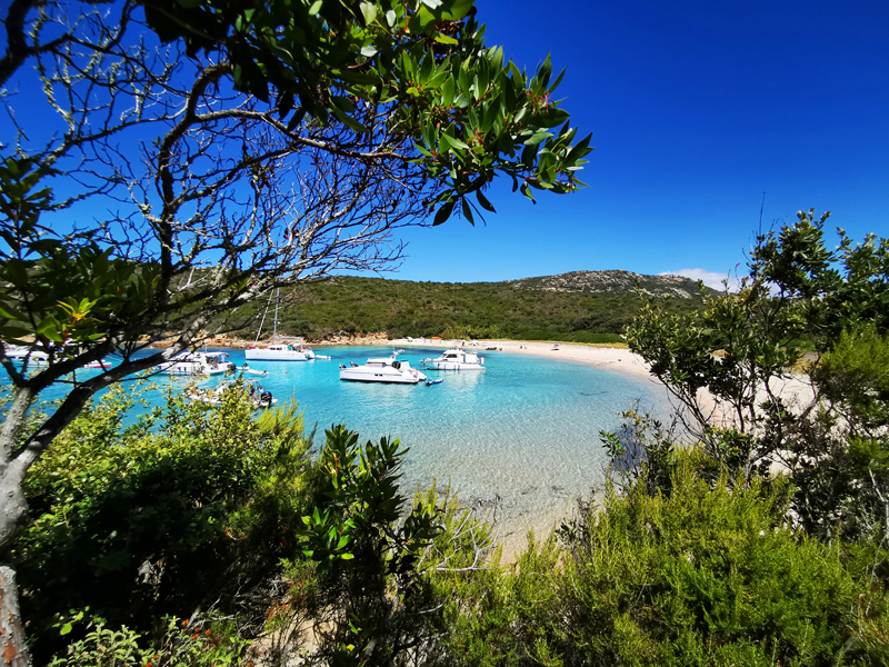 Korsika-Landschaft-gesamt (226)