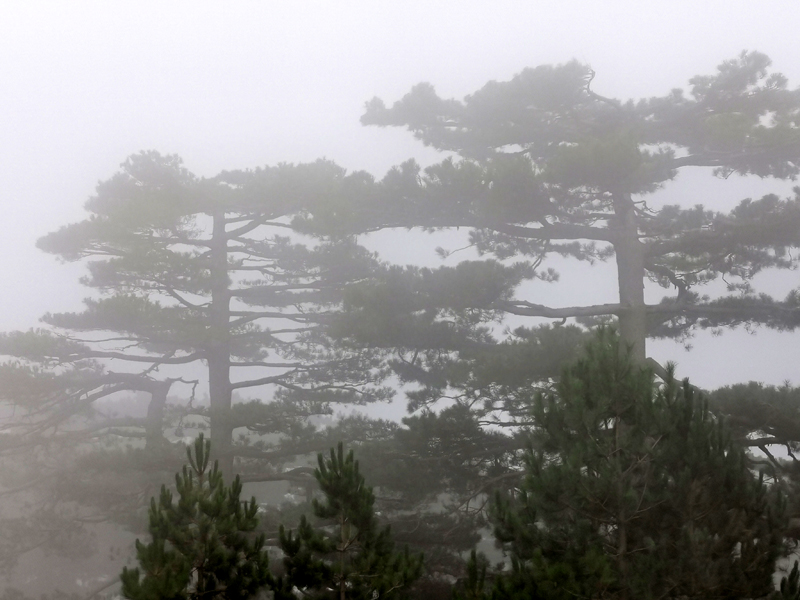 Korsika-Landschaft-gesamt (236)