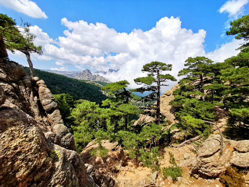 Korsika-Landschaft-gesamt (241)