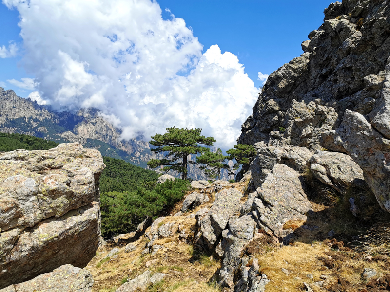 Korsika-Landschaft-gesamt (244)