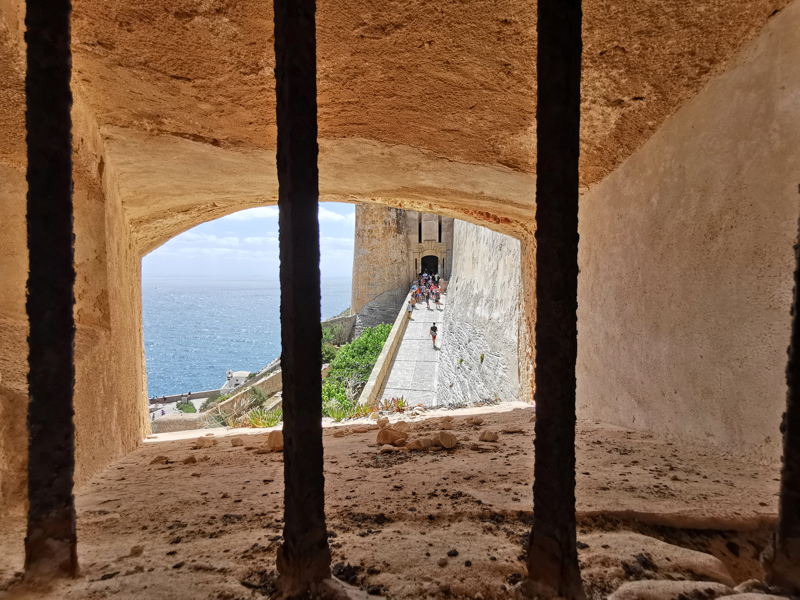 Korsika-Landschaft-gesamt (255)