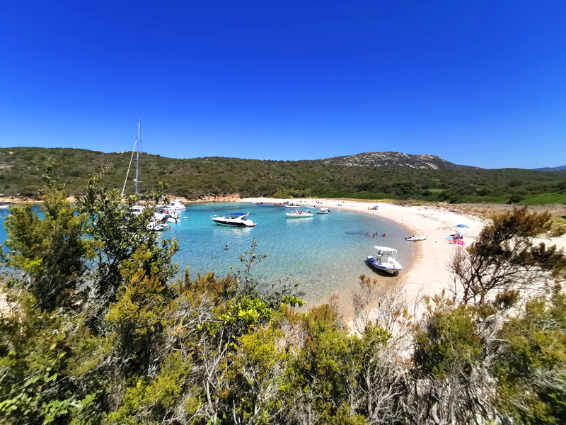 Korsika-Landschaft-gesamt (270)