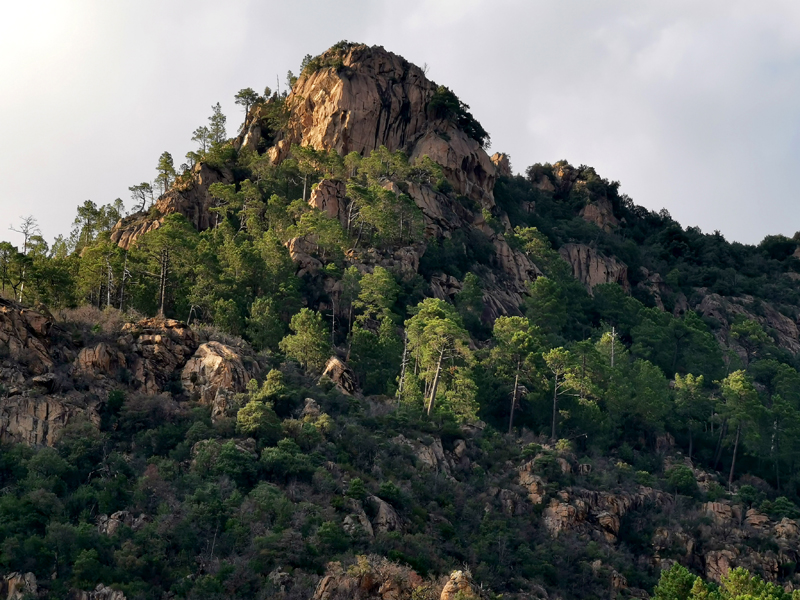Korsika-Landschaft-gesamt (271)
