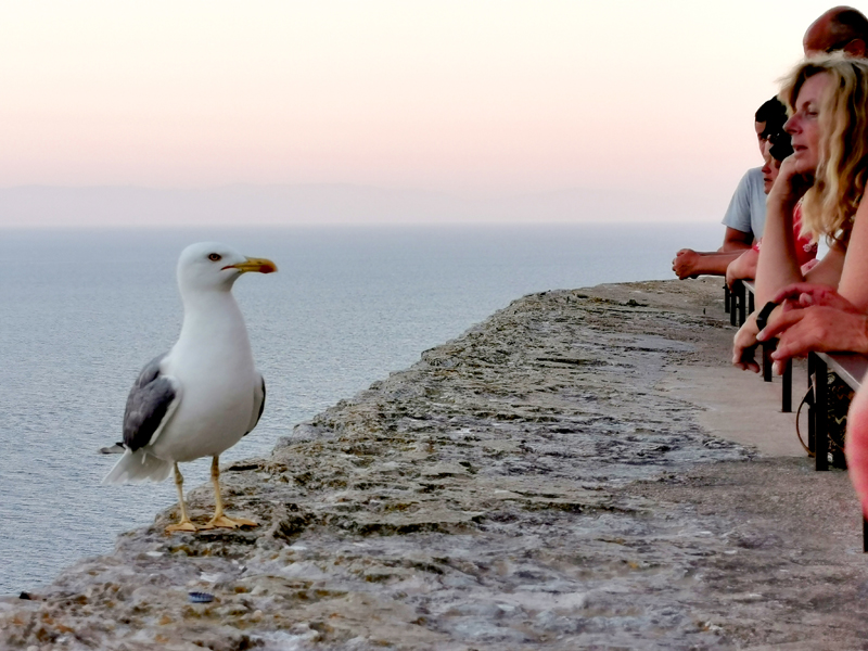 Korsika-Landschaft-gesamt (275)