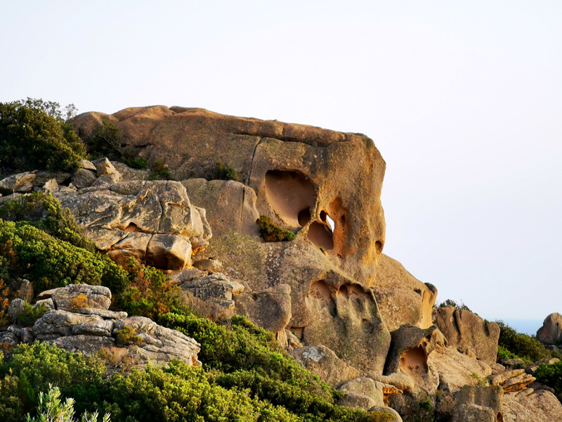 Korsika-Landschaft-gesamt (288)