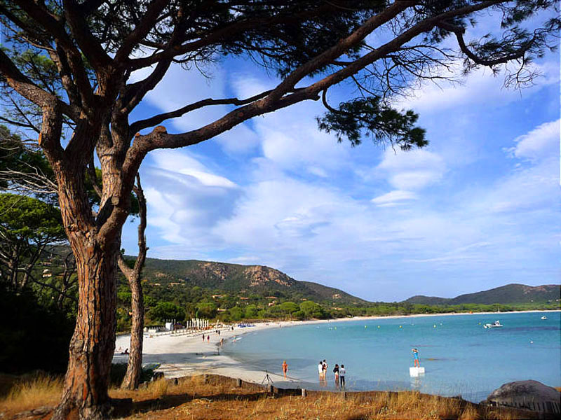 Korsika-Landschaft-gesamt (293)