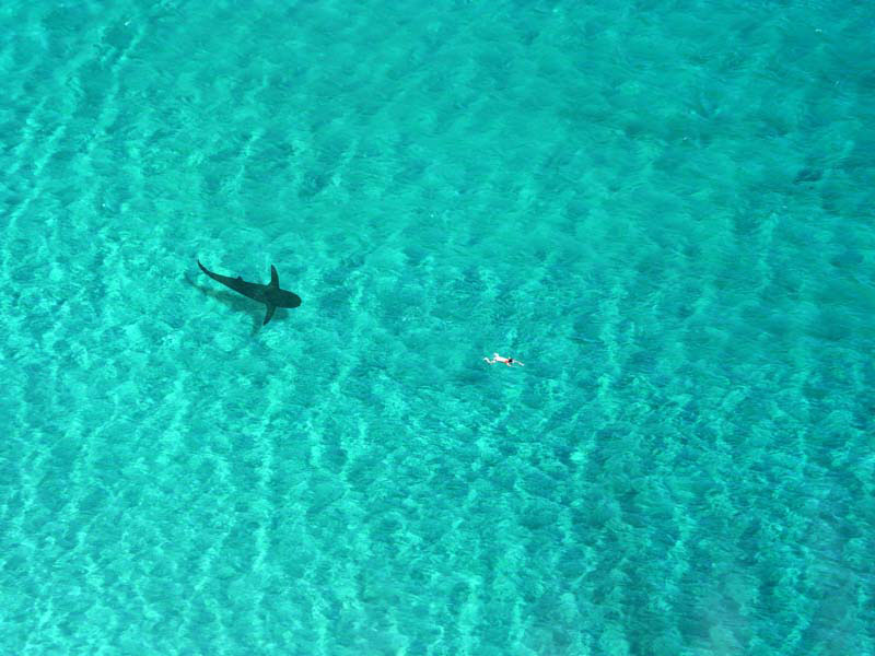 Korsika-Landschaft-gesamt (314)