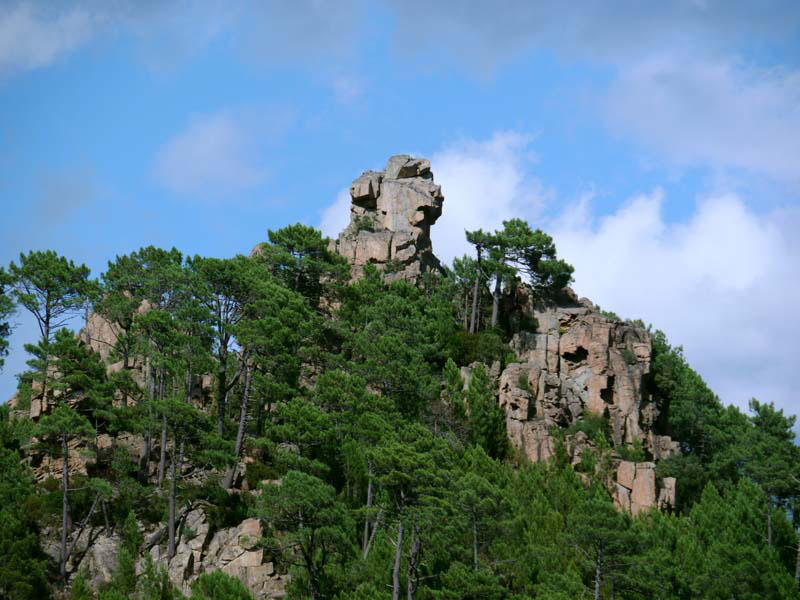 Korsika-Landschaft-gesamt (316)