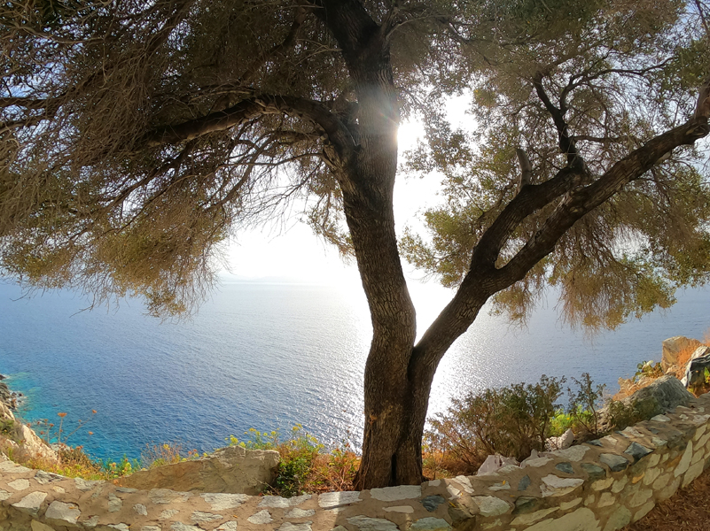 Korsika-Landschaft-gesamt (324)