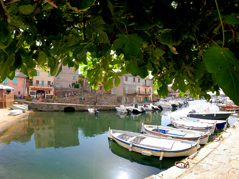 Korsika-Landschaft-gesamt (325)