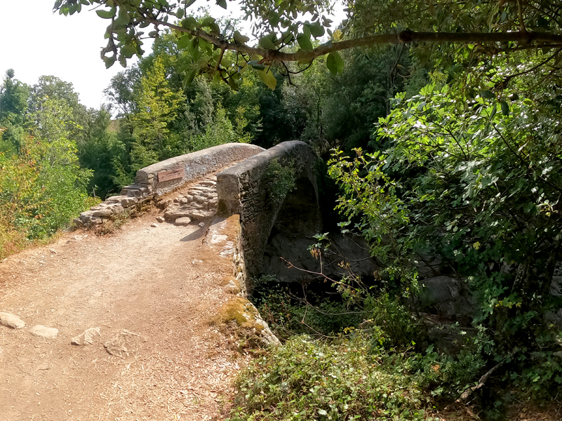 Korsika-Landschaft-gesamt (328)