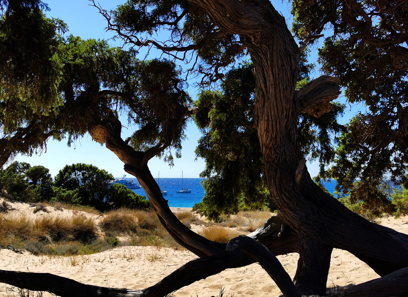 Korsika-Landschaft-gesamt (341)