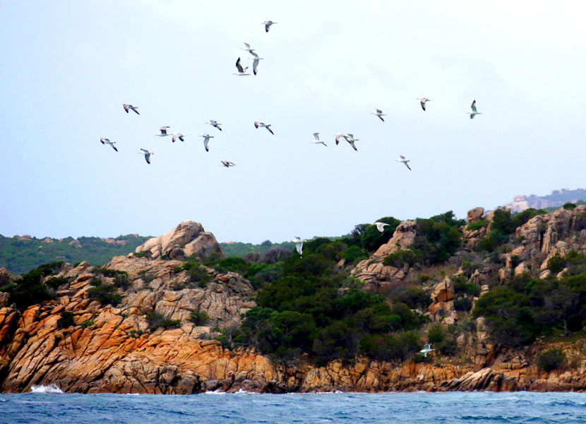 Korsika-Landschaft-gesamt (345)