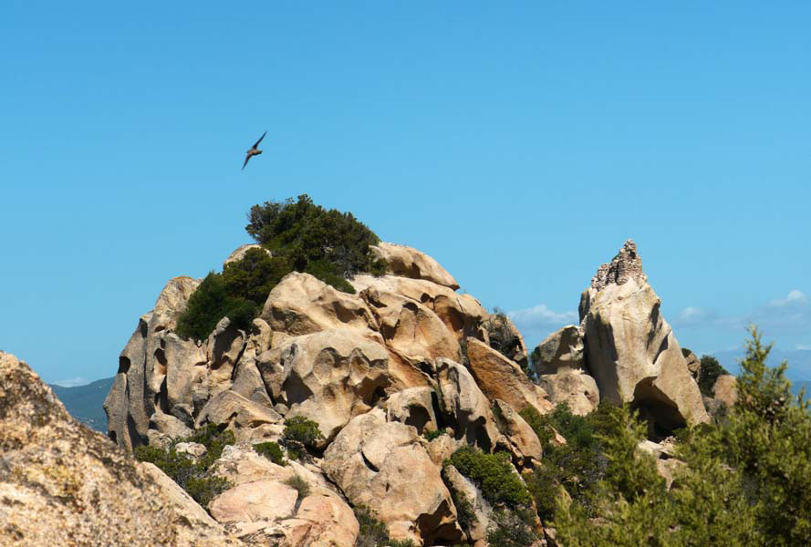 Korsika-Landschaft-gesamt (375)