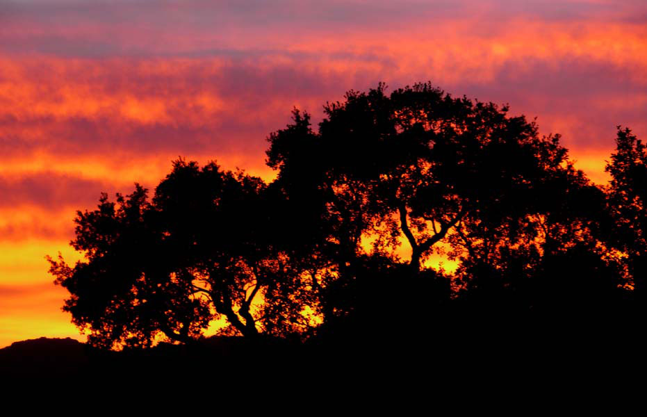 Korsika-Landschaft-gesamt (389)
