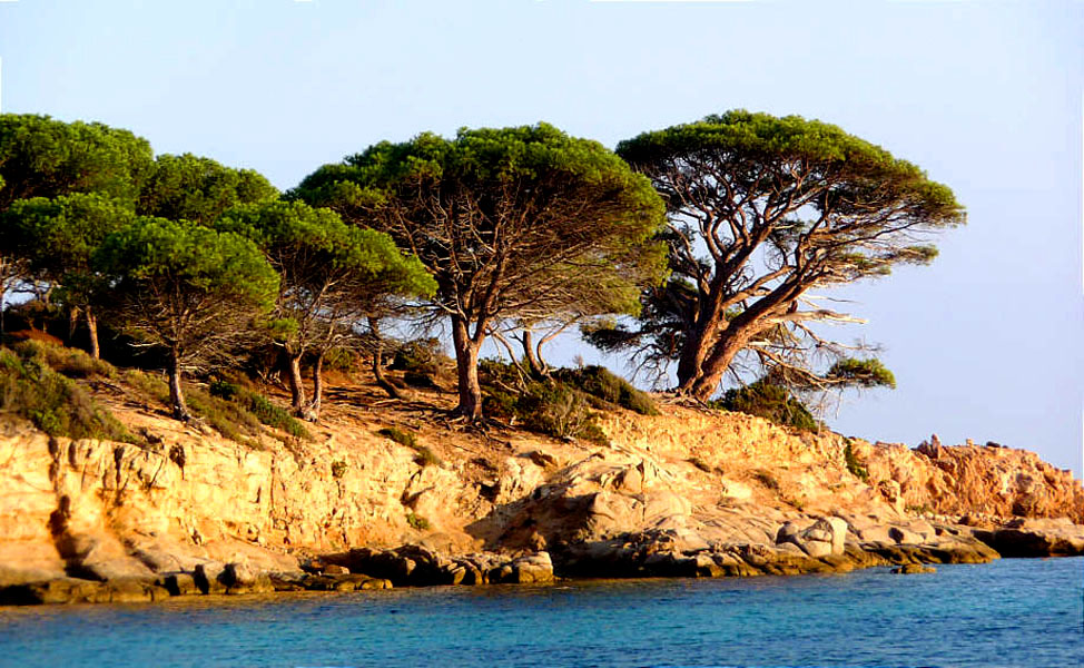 Korsika-Landschaft-gesamt (415)