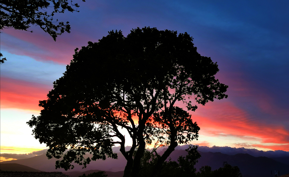 Korsika-Landschaft-gesamt (416)